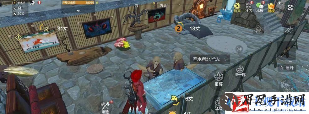 探秘妄想山海鱼苗世界