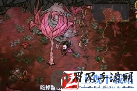 饥荒哈姆雷特藤蔓获取攻略