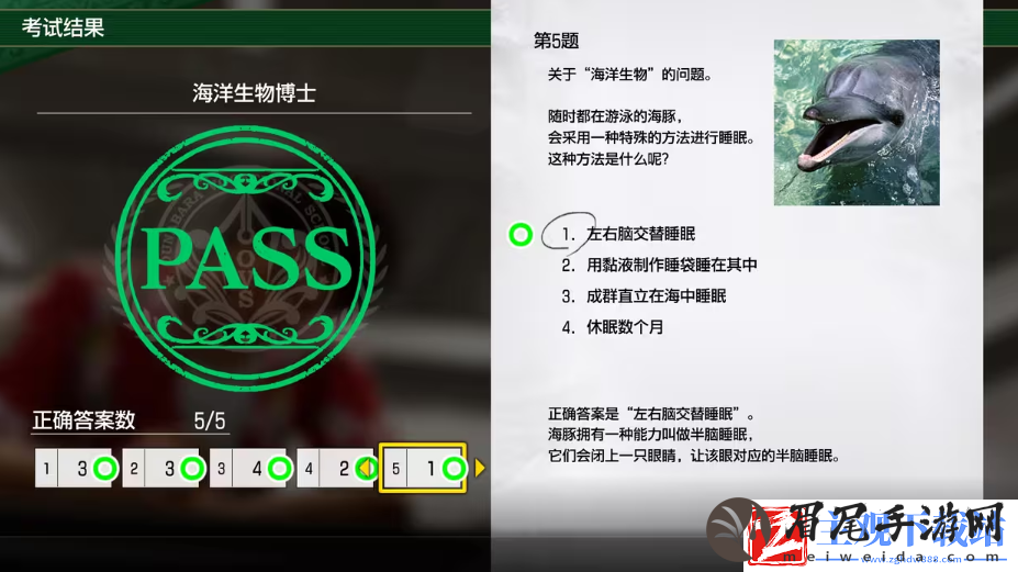如龙8考试答案一览