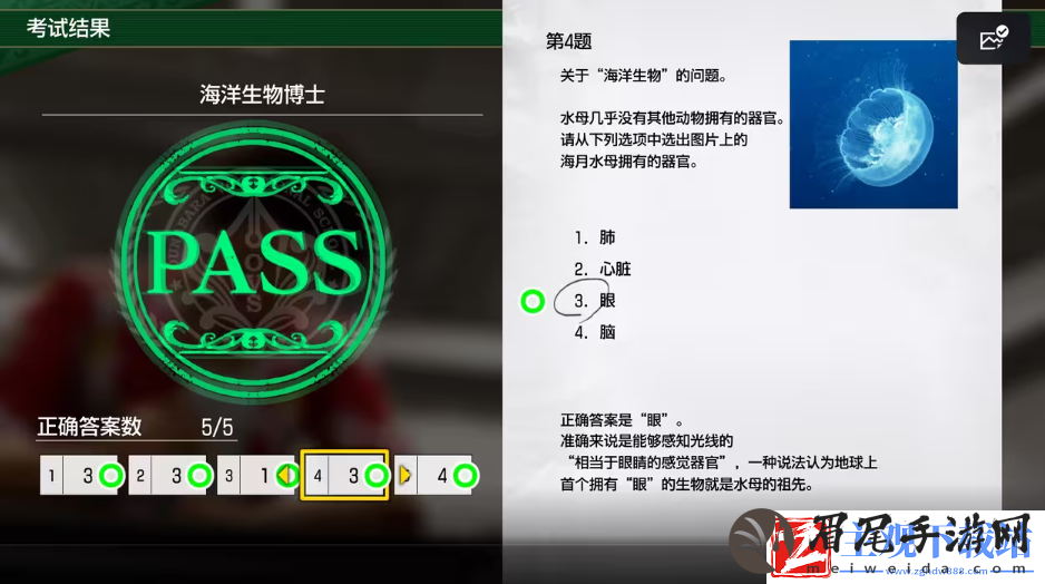 如龙8考试答案一览
