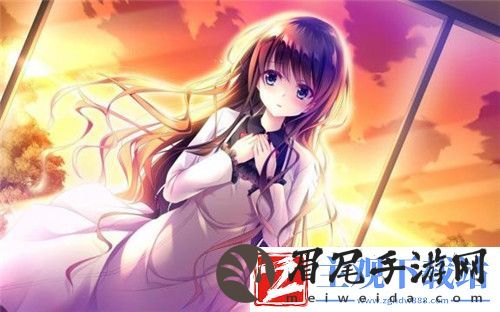 成色好的y31