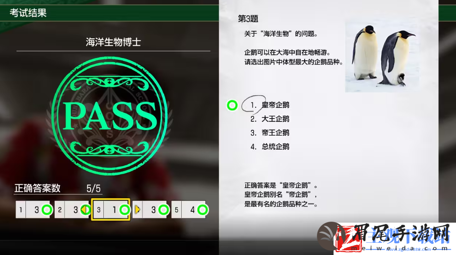 如龙8考试答案一览