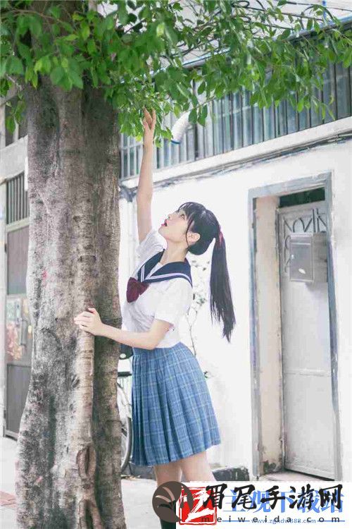 成品人和精品人的区别四叶草:完整性、独特性、潜力和价值观