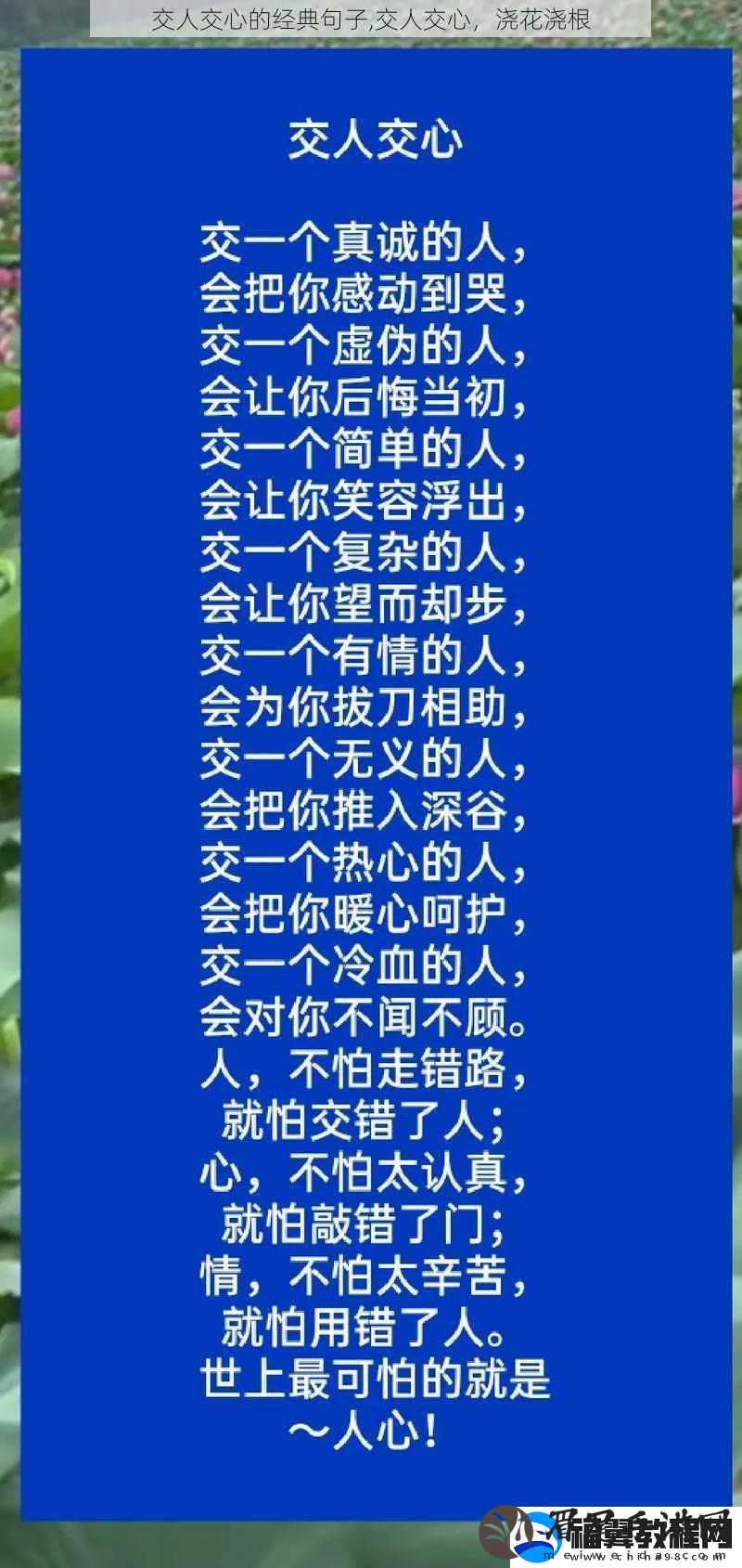 交人交心的经典句子-交人交心-浇花浇根