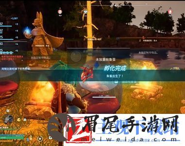 幻兽帕鲁朱雀蛋在哪