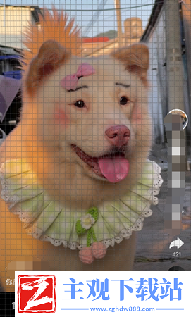 抖音ai绘画怎么上传照片
