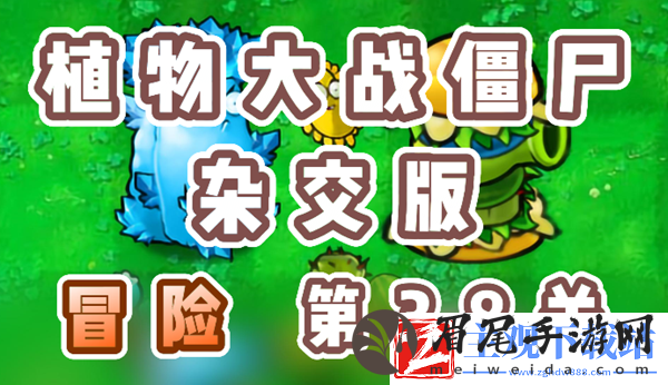 植物大战僵尸杂交版冒险38关怎么过