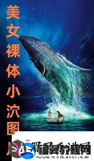 探索“呦小泬泬一区二区三区在线观看”的独特魅力与风格