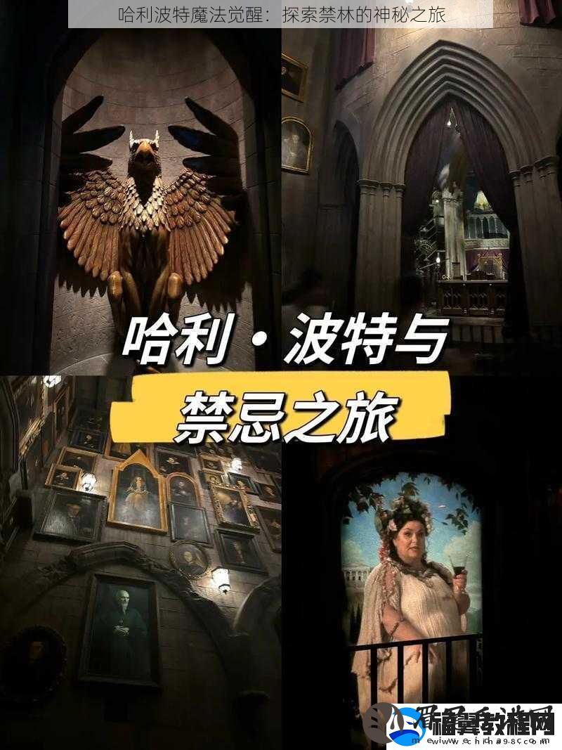哈利波特魔法觉醒