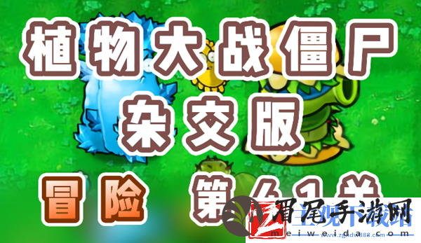 植物大战僵尸杂交版冒险41关怎么过
