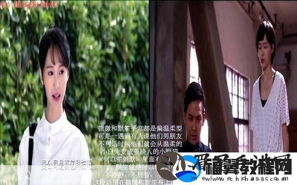 流浪超市狐小护