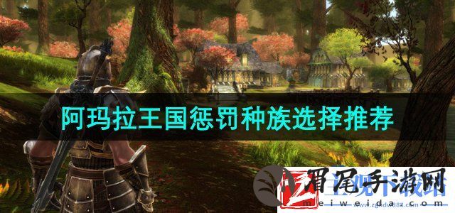 阿玛拉王国惩罚种族选哪个