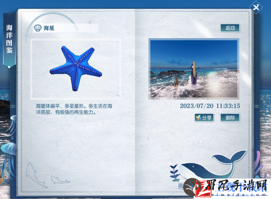逆水寒海星位置介绍