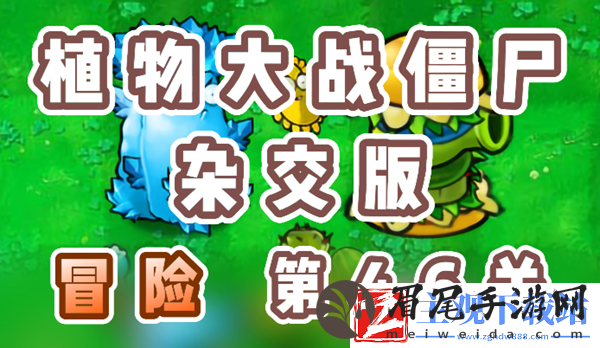 植物大战僵尸杂交版冒险46关怎么过