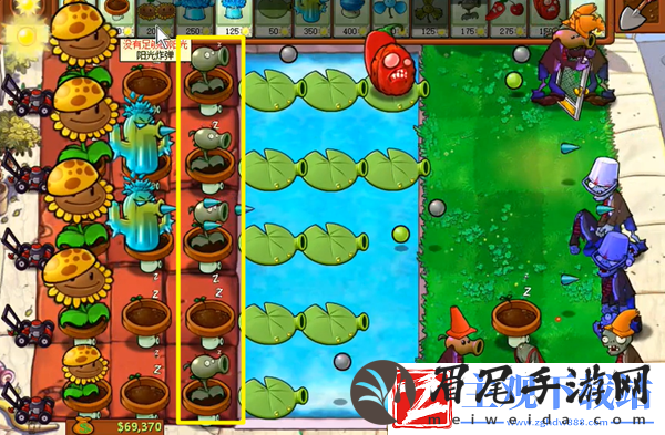 植物大战僵尸杂交版冒险41关怎么过