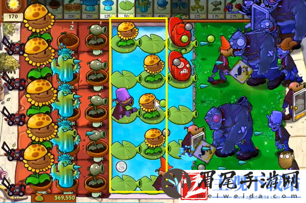 植物大战僵尸杂交版冒险41关怎么过
