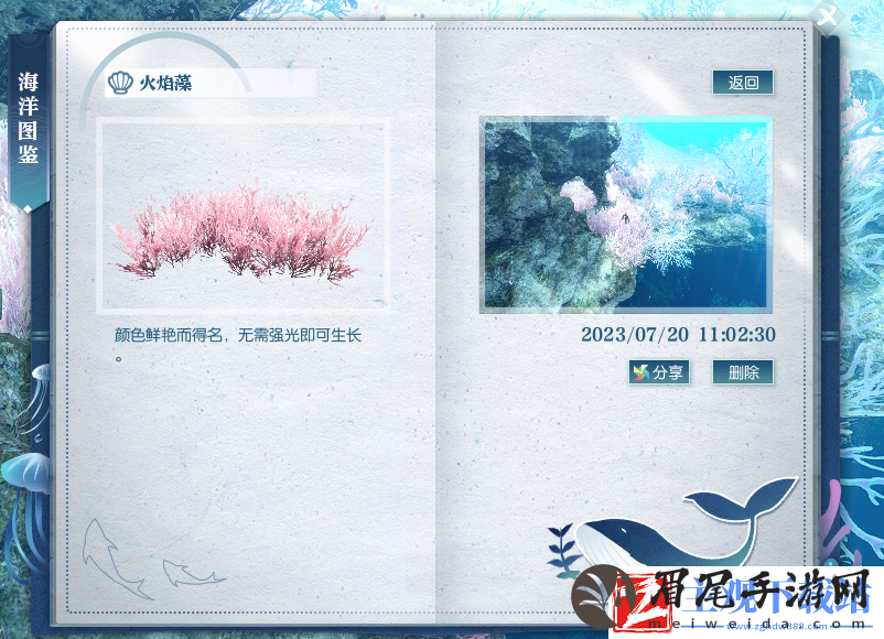 逆水寒火焰藻位置介绍