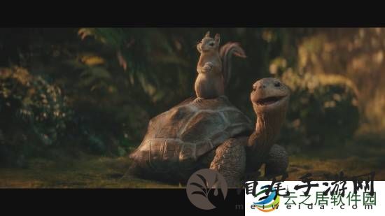 本站