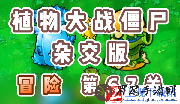 植物大战僵尸杂交版冒险67关怎么过-植物大战僵尸杂交版冒险67关攻略
