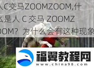 人C交马ZOOMZOOM