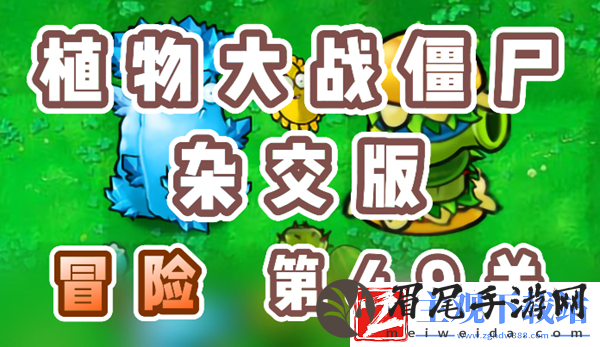 植物大战僵尸杂交版冒险49关怎么过