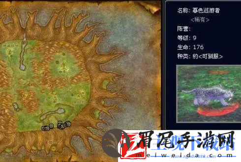 魔兽世界怀旧服猎人稀有宠物大全