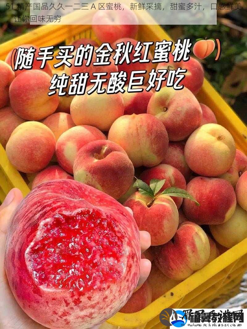 51-精产国品久久一二三-A-区蜜桃-新鲜采摘-甜蜜多汁-口感鲜美-让你回味无穷