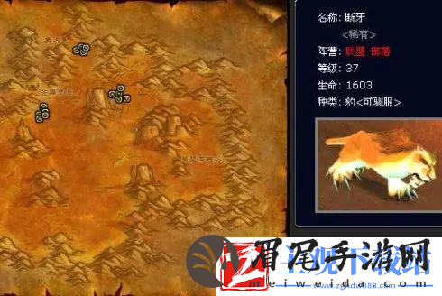 魔兽世界怀旧服猎人稀有宠物大全