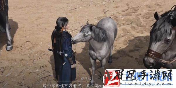 燕云十六声伏马庄祁氏家驯任务怎么做