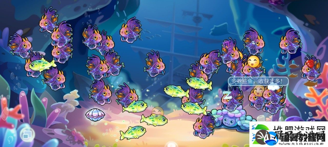 开心水族箱前期合成推荐