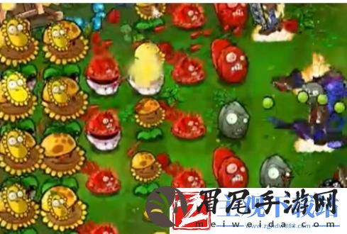 植物大战僵尸杂交版冒险模式51关怎么过