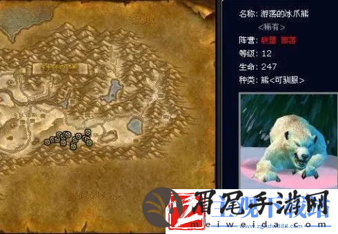 魔兽世界怀旧服猎人稀有宠物大全