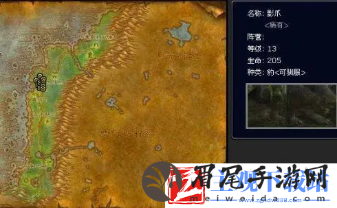 魔兽世界怀旧服猎人稀有宠物大全