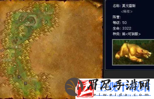 魔兽世界怀旧服猎人稀有宠物大全