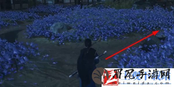 燕云十六声慈心镇应悔偷灵药任务怎么做