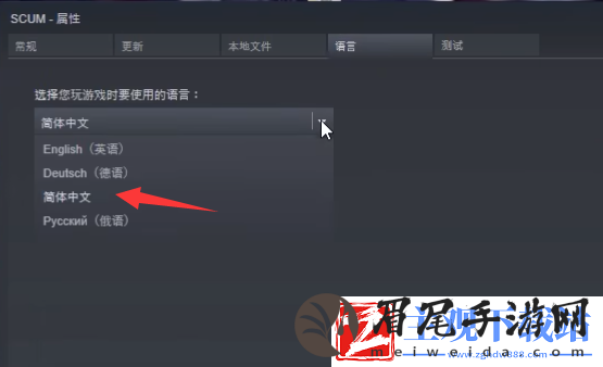 Serum血清怎么设置中文