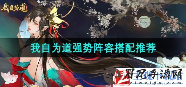 我自为道最强阵容怎么搭配