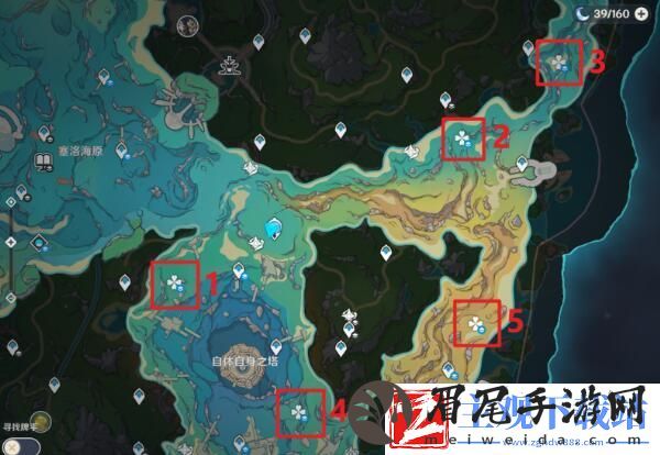 原神4.2版本新增鳗鱼宝箱在哪找