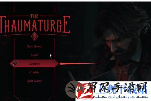 奇唤士中文怎么设置