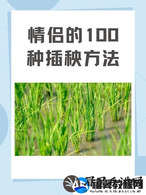 夫妻插秧38种方法图片大全-传承农耕文化的乐趣与智慧