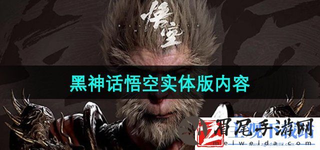 黑神话悟空实体版有什么