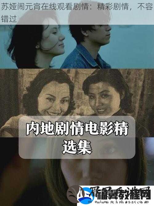苏娅闹元宵在线观看剧情：精彩剧情-不容错过