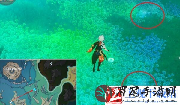 原神4.2版本新增鳗鱼宝箱在哪找