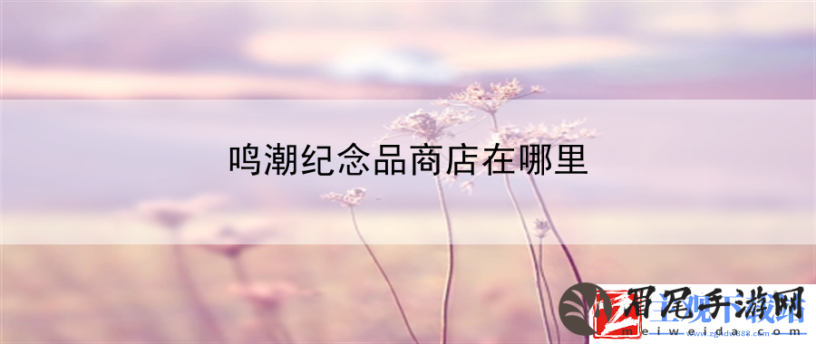 鸣潮纪念品商店在哪里