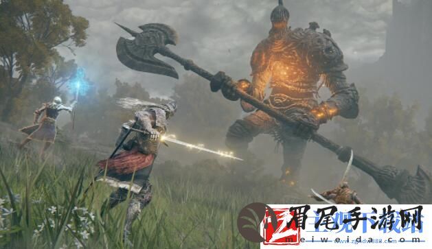 宫崎英高表态不反对艾尔登法环无缝联机Mod