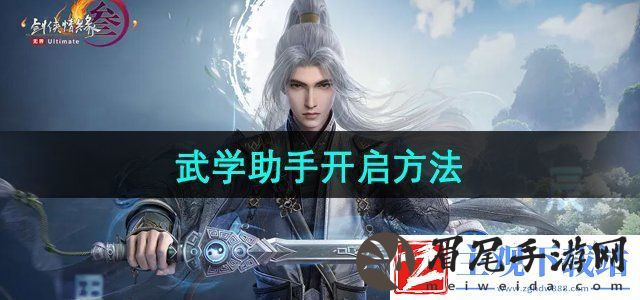 剑网3无界多少级有武学助手