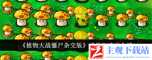 植物大战僵尸杂交版成长咖啡豆介绍：玩家互动与社区建设指南