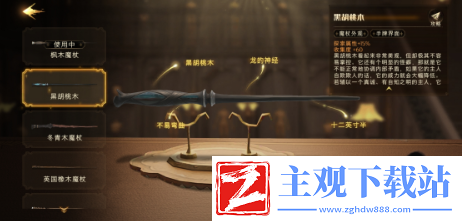 哈利波特魔法觉醒怎么更换魔杖