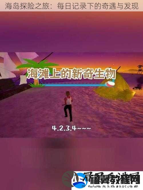 海岛探险之旅：每日记录下的奇遇与发现