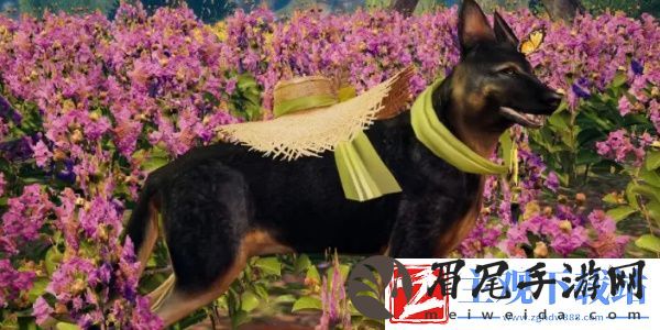 明日之后绿手园匠活动如何参与